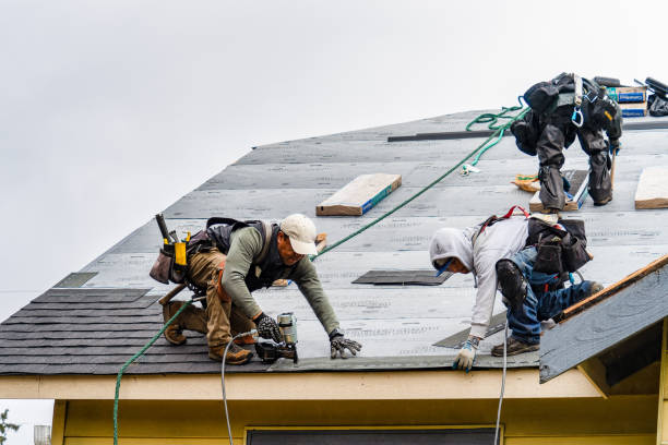 Professional Gutter Installation technician working in Alto, GA